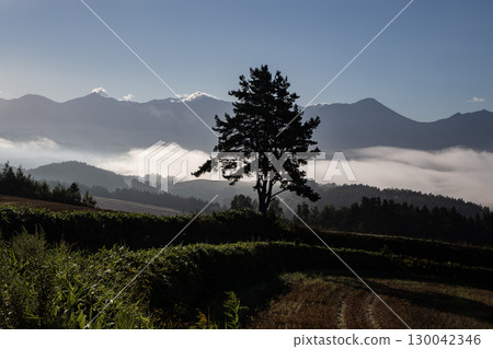 Fantasy Landscape of the Land of Morning Mist 130042346