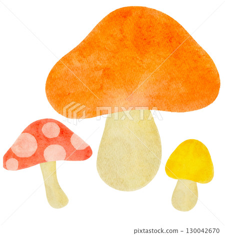 Watercolor mushroom illustration 130042670