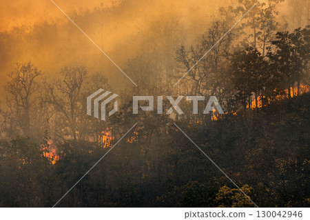 Wildfires release carbon dioxide (CO2) emissions and other greenhouse gases (GHG) that contribute to climate change. 130042946