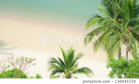 beautiful beach with palm tree and white sand in summertime beautiful beach with palm tree and white sand in summertime 130043150