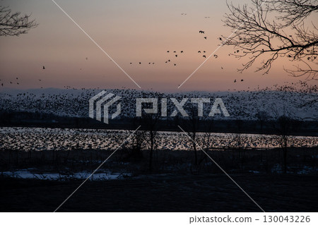 宮島沼澤，野鳥的天堂 130043226