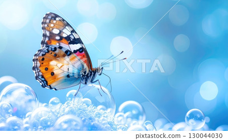 A macro closeup of a beautiful orange butterfly with black wings on a bubble 130044030