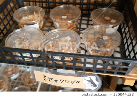 出售鍬形蟲 130044128