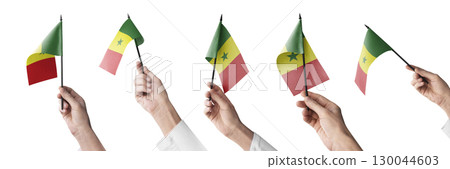 The Senegal flag in hand in different angles on a white background 130044603