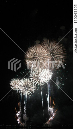 大型煙花在夜空中盛開 大型煙花在夜空中盛開 130045305