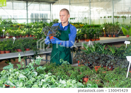 Portrait of man tending and cultivating flowers Portrait of man tending and cultivating flowers 130045429