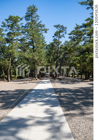 島根縣出雲市出雲大社參道 130045636