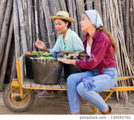 Two female workers talking Two female workers talking 130045702