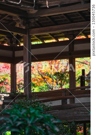 京都府三尾市牧大山西明寺的美麗秋葉（京都府京都市右京區） 130045736