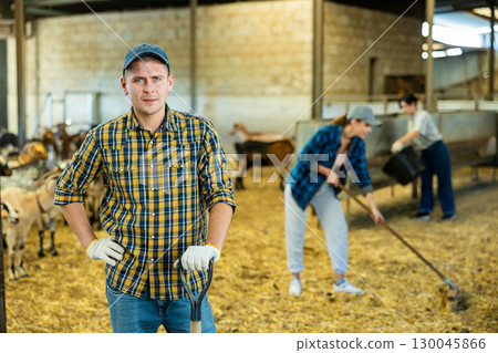 Profwssional young European man farmer in plaid shirt leveling hay and straw with pitchfork in the goat pen barn in autumn Profwssional young European man farmer in plaid shirt leveling hay and straw with pitchfork in the goat pen barn in autumn 130045866