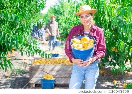 Happy female farmer with bucket of ripe peaches in orchard Happy female farmer with bucket of ripe peaches in orchard 130045909