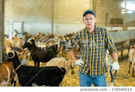 Confident positive farmer breeding dairy goats posing in shed Confident positive farmer breeding dairy goats posing in shed 130046014