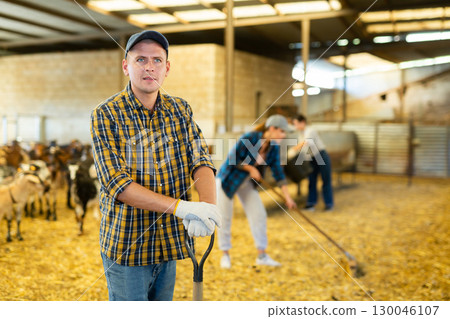 Profwssional young European man farmer in plaid shirt leveling hay and straw with pitchfork in the goat pen barn in autumn Profwssional young European man farmer in plaid shirt leveling hay and straw with pitchfork in the goat pen barn in autumn 130046107