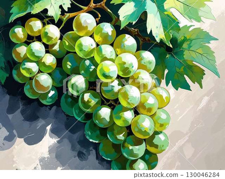 馬斯喀特的例證 馬斯喀特的例證 130046284