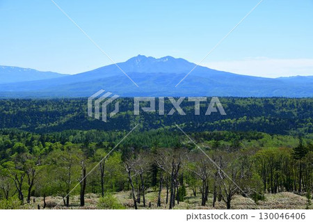 Mount Shari scenery in June 130046406