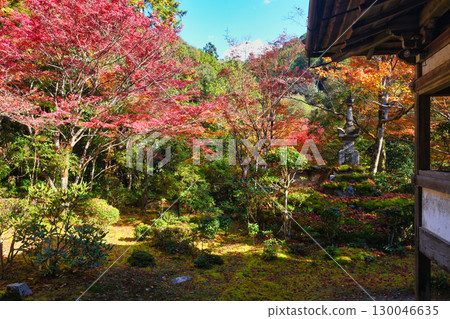 京都府三尾市牧大山西明寺的美麗秋葉（京都府京都市右京區） 130046635