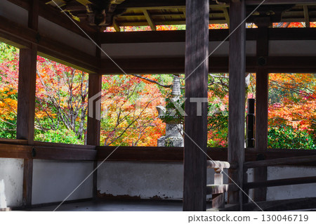 Beautiful autumn foliage at Saimyoji Temple, Makioyama, Mio, Kyoto (Ukyo Ward, Kyoto City, Kyoto Prefecture) Beautiful autumn foliage at Saimyoji Temple, Makioyama, Mio, Kyoto (Ukyo Ward, Kyoto City, Kyoto Prefecture) 130046719