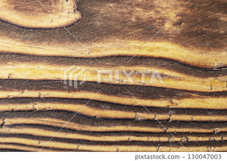 Closeup view of the intricate grain pattern of rustic hardwood surface. Wood texture background 130047003