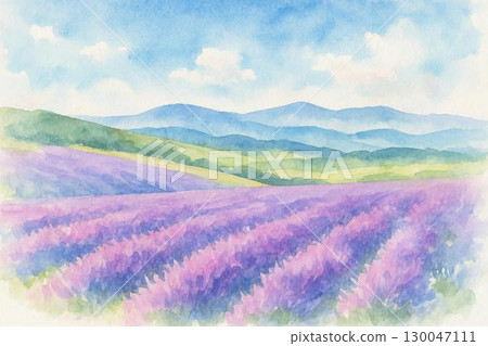 Lavender field watercolor Lavender field watercolor 130047111