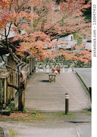 秋葉點綴著人行道和安靜的街道 130047410
