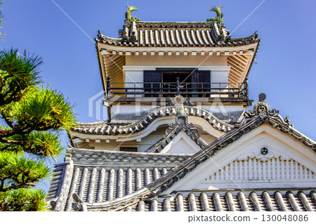 Kochi Castle 130048086