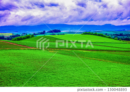 Fresh greenery thrives 130048893