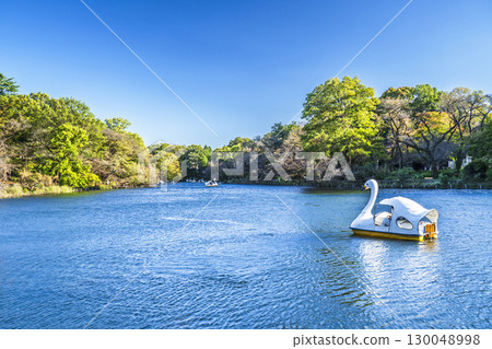 井之頭公園的自然風光【東京、武藏野市～三鷹市】 130048998