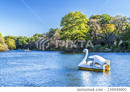 初秋的井之頭公園：遍佈東京的自然景觀[東京都、武藏野市 - 三鷹市] 130049001
