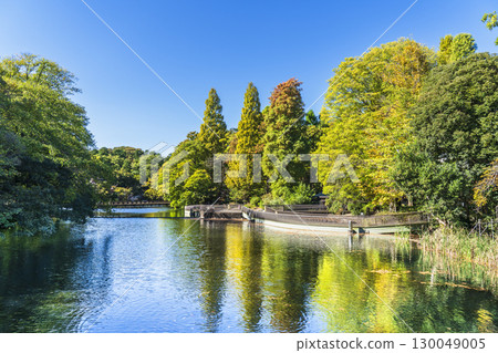 初秋的井之頭公園的自然風景[東京都、武藏野市～三鷹市] 130049005