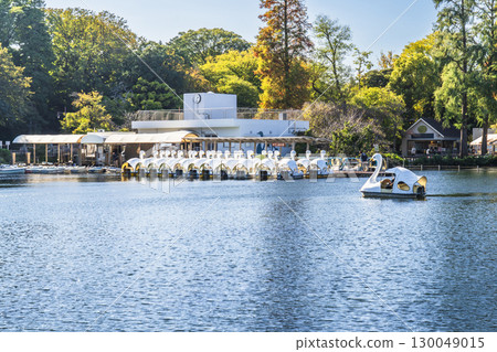 Scenery of the boat dock at Inokashira Park in early autumn [Tokyo, Musashino City - Mitaka City] 130049015
