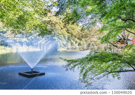 The lush green scenery of Inokashira Park [Tokyo, Musashino City - Mitaka City] 130049020