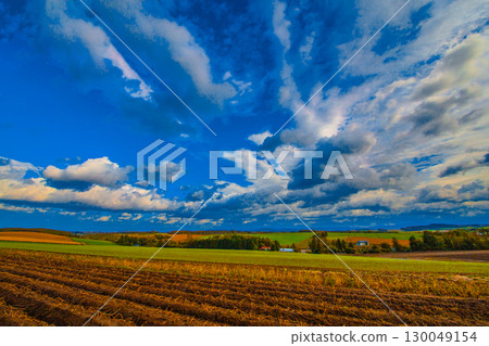 Vast rural landscape 130049154