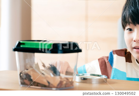 一個男孩正在觀察一隻鍬形蟲 130049502