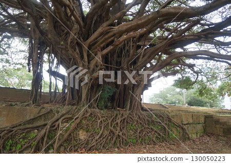 那霸曹源寺 130050223