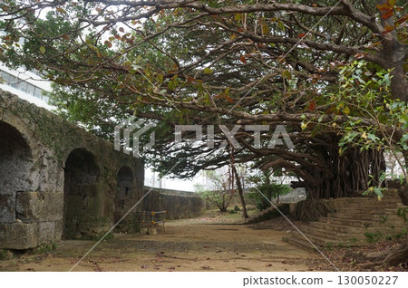 那霸曹源寺 130050227