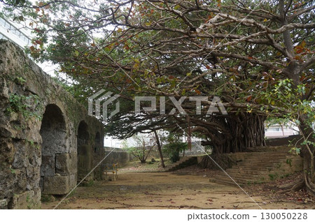 那霸曹源寺 130050228
