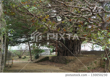 那霸曹源寺 130050230