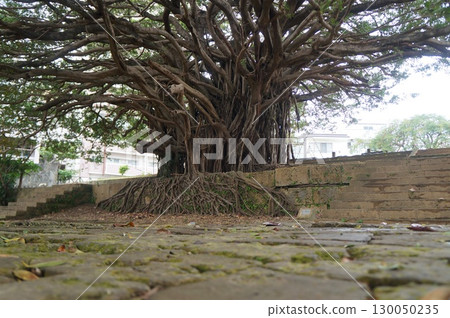 那霸曹源寺 130050235