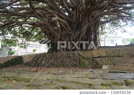 那霸曹源寺 130050236