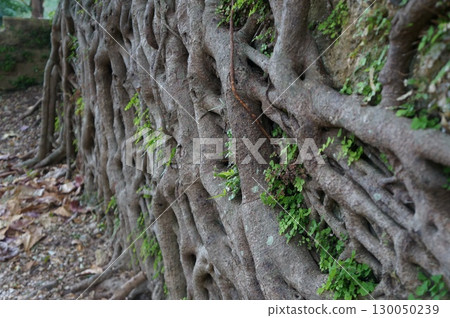 Naha Sogenji Temple Naha Sogenji Temple 130050239