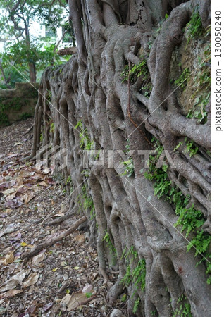 那霸曹源寺 130050240