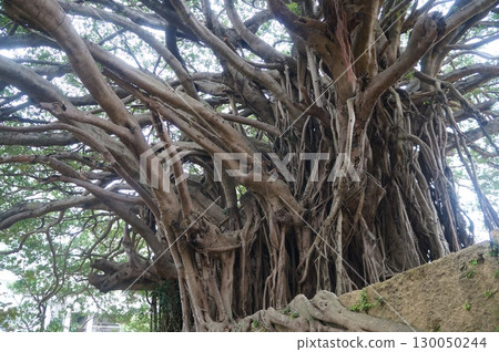 那霸曹源寺 130050244