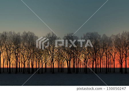 秋樹日落風景（背景圖） 130050247