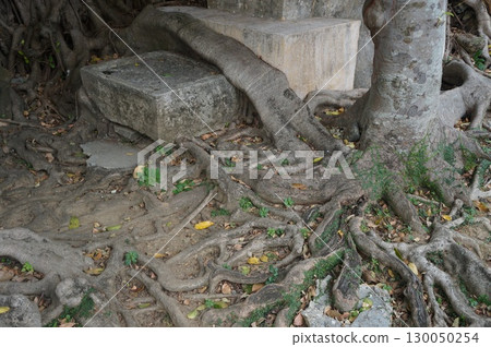 那霸曹源寺 130050254