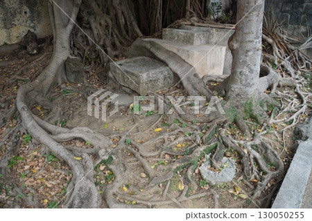 那霸曹源寺 130050255