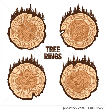 Round tree trunk cuts with trees and forest. Sawn pine or oak slices, lumber. Saw cut timber, wood. Brown wooden texture with tree rings. Hand drawn sketch. Vector illustration Round tree trunk cuts with trees and forest. Sawn pine or oak slices, lumber. Saw cut timber, wood. Brown wooden texture with tree rings. Hand drawn sketch. Vector illustration 130050527
