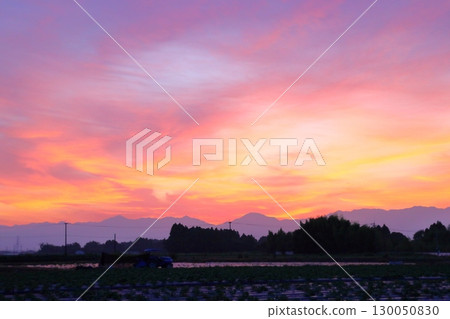 Sunset sky, cultivated land Sunset sky, cultivated land 130050830