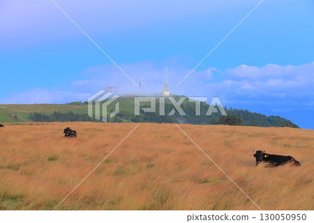 Mikahara Plateau Mikahara Plateau 130050950