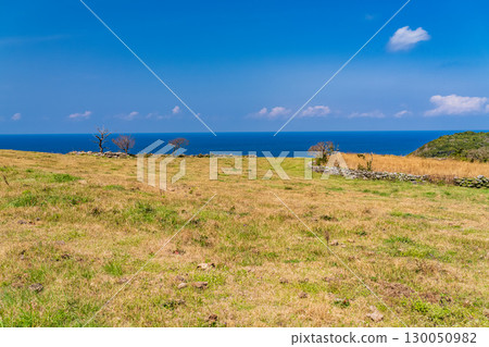View of Ikitsuki Island, Nagasaki Prefecture - Coastline seen from the top of a hill 130050982