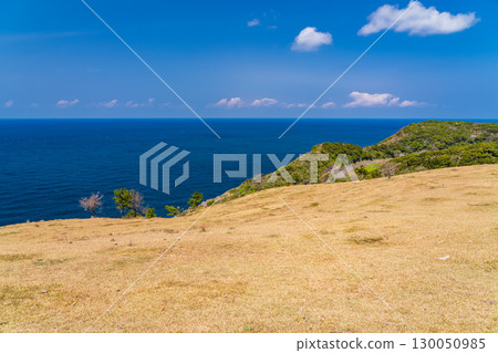 長崎縣生月島的景色 - 從山頂俯瞰海岸線 130050985